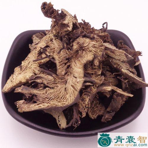 中药材山升麻图片