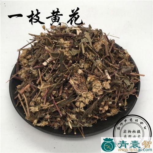 中药材山厚合图片