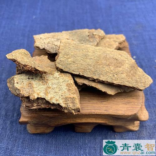 山地皮的性状性味归经以及功效用法和注意事项-青囊智