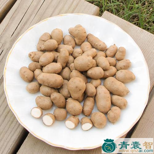 中药材山地豆图片