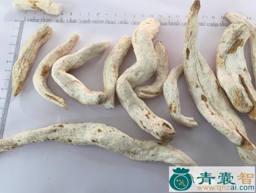 中药材山帚条条图片