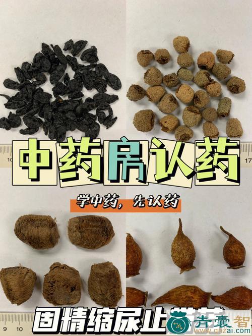 中药材山暗册图片