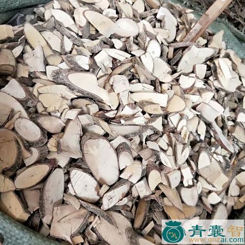 中药材山枝条图片