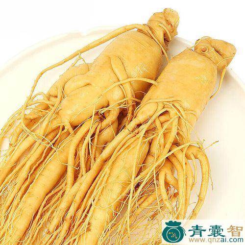 中药材山枣参图片