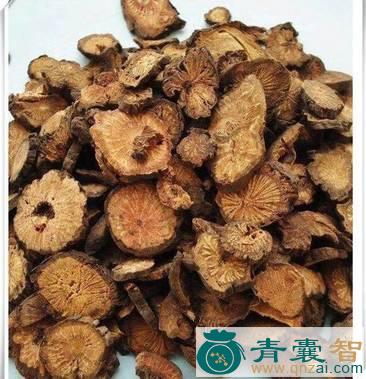 中药材山榆图片