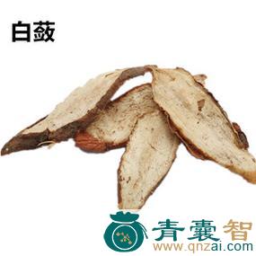 中药材山檫图片