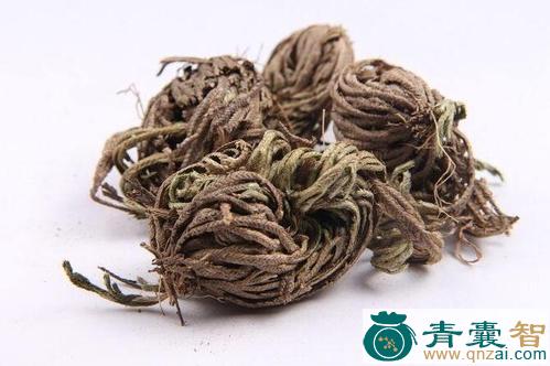 山毛柏的性状性味归经以及功效用法和注意事项-青囊智