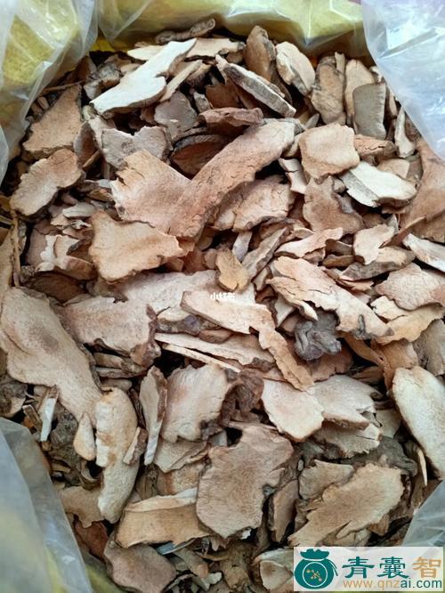 山波苓的性状性味归经以及功效用法和注意事项-青囊智
