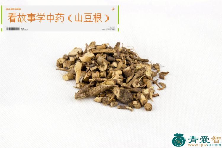 中药材山烟根图片