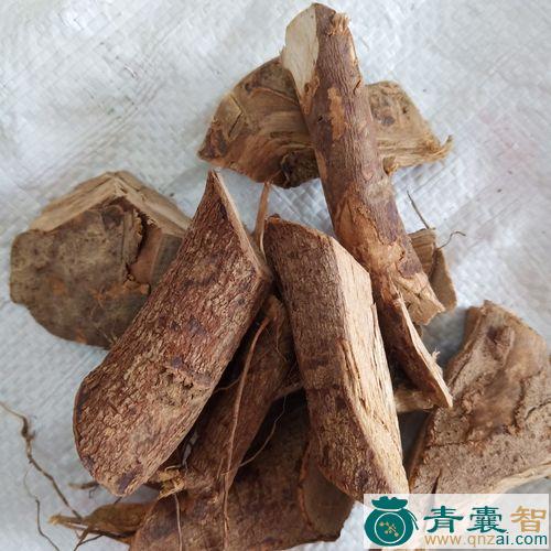山烟根子的性状性味归经以及功效用法和注意事项-青囊智