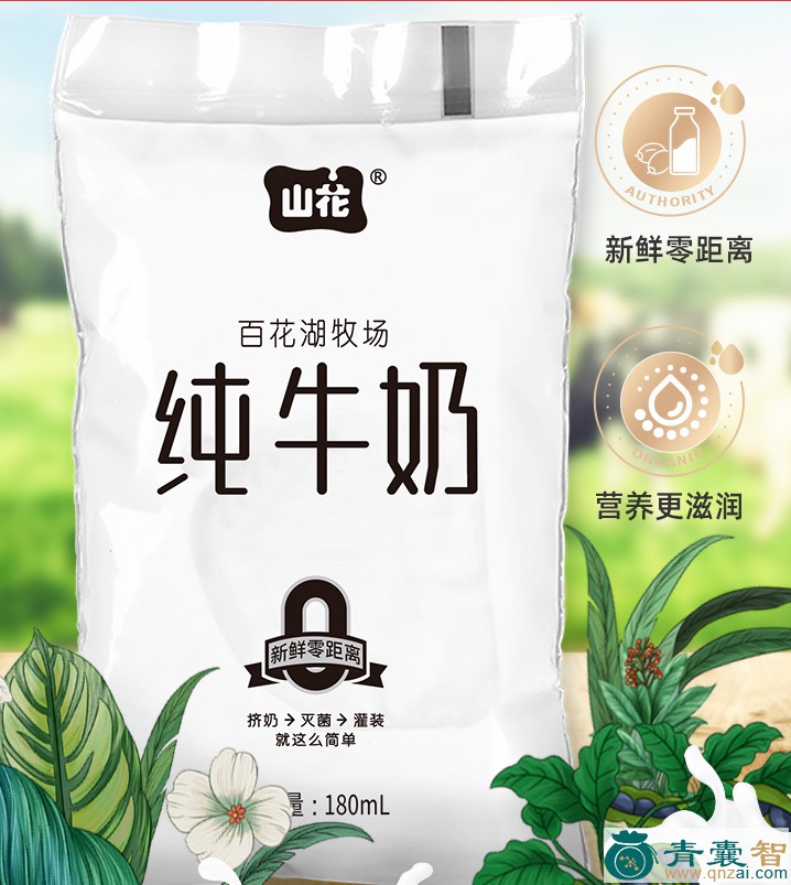中药材山牛奶图片