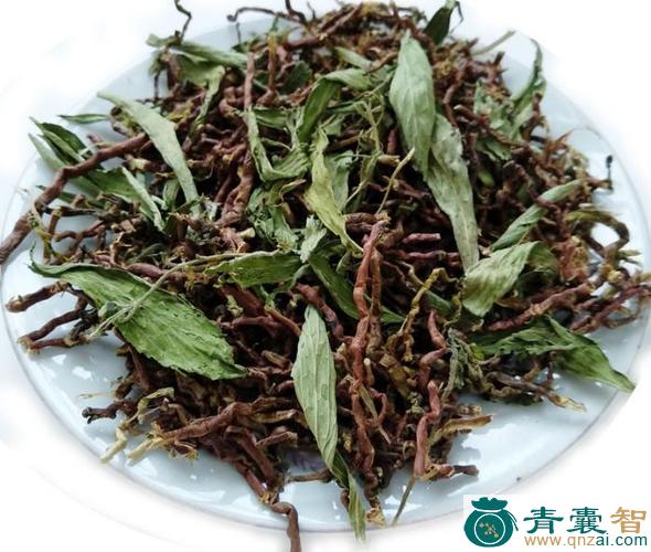 山甜茶的性味归经以及功效用法-青囊智