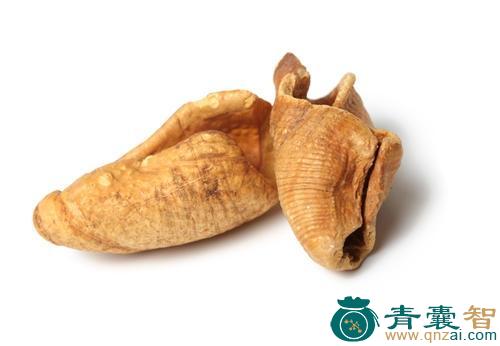 中药材山甲图片