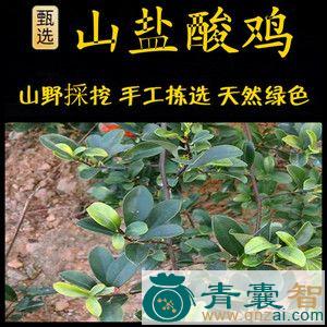 中药材山盐酸鸡图片