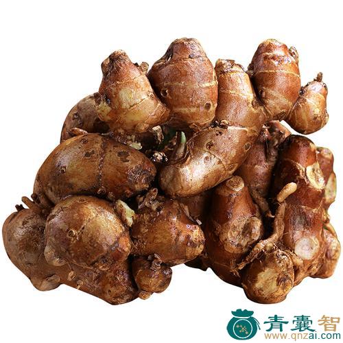 山砂姜的性味归经以及功效用法-青囊智
