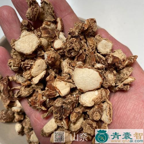 中药材山硬硬图片