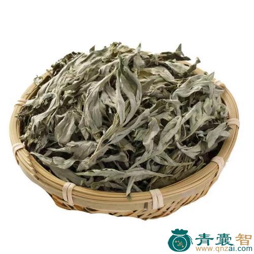 山艾的性状性味归经以及功效用法-青囊智