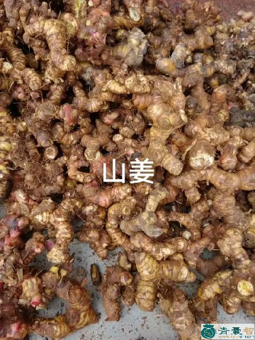 中药材山芥图片