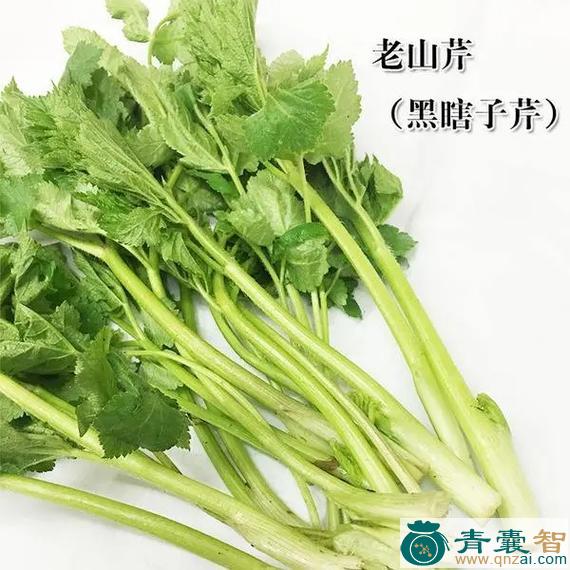 中药材山芹图片