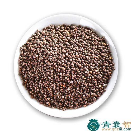 中药材山苏子图片