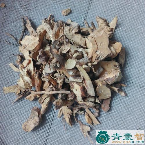 中药材山苦常图片