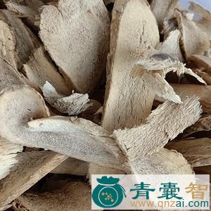 中药材山菠萝根图片