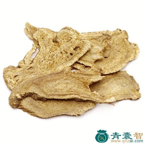 山蓟的性状性味归经以及功效用法和注意事项-青囊智
