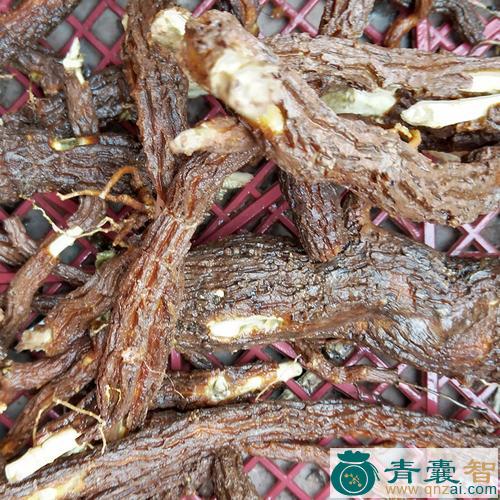 山通花根的性味归经以及功效用法和注意事项-青囊智