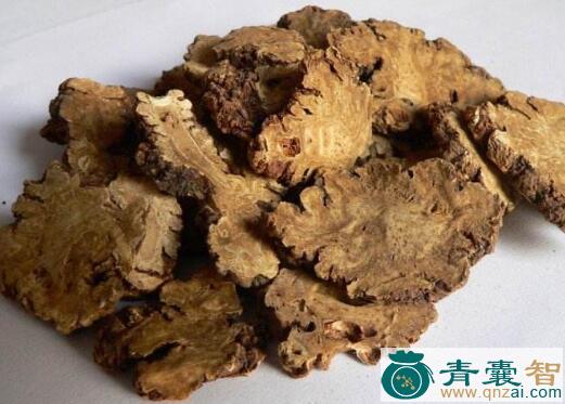 中药材山门穹图片