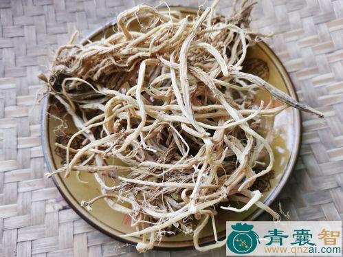中药材山鹅儿肠图片