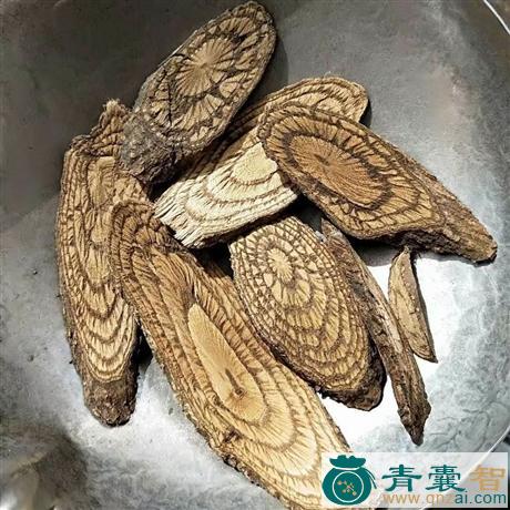 山麻骨的性状性味归经以及功效用法和注意事项-青囊智