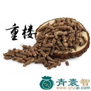 中药材屹蚤花图片