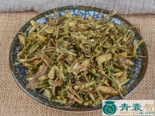 中药材岗松图片