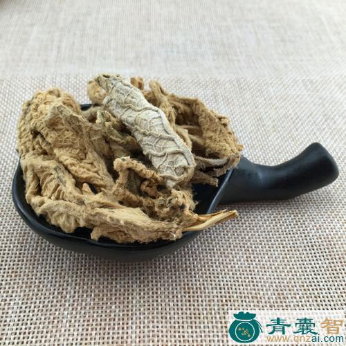 岩七的性状性味归经以及功效用法和注意事项-青囊智