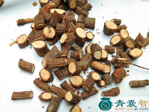 中药材岩马桑根图片
