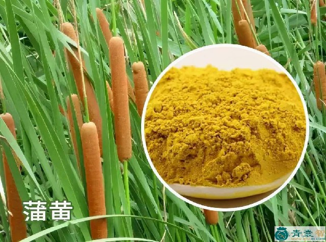 中药材峪黄图片