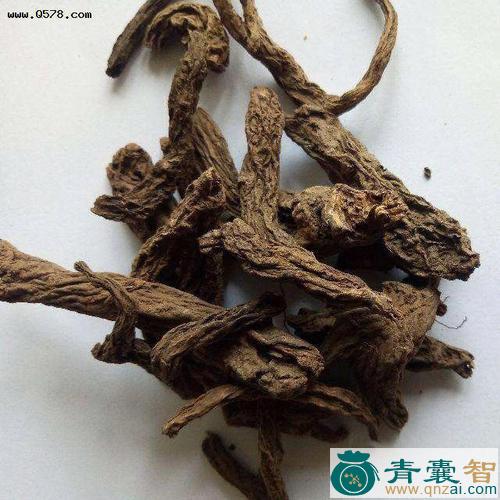 中药材峻图片