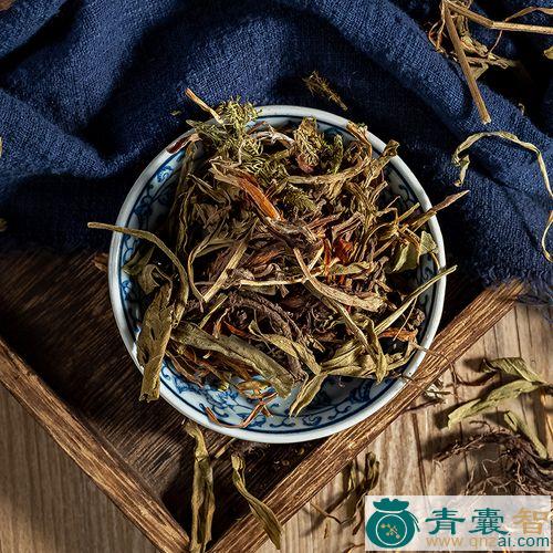 崩松的性状性味归经以及功效用法-青囊智