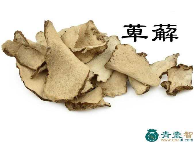 中药材巂周图片