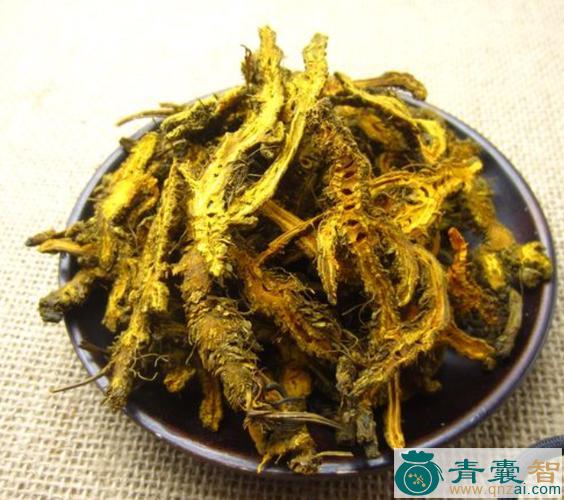 中药材川掌莲图片