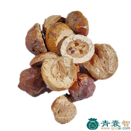 中药材川楝实图片