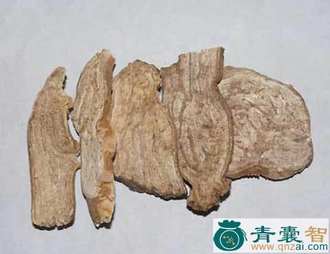 中药材川狼毒图片