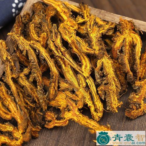 川连的性状性味归经以及功效用法-青囊智