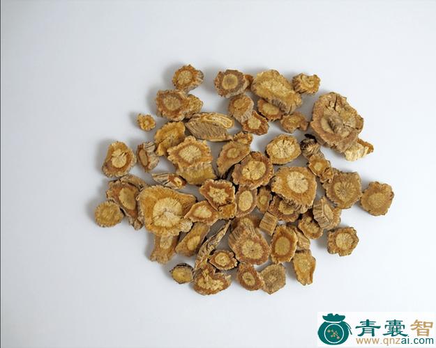 中药材川防风图片