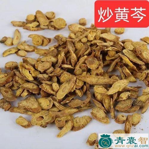 中药材川黄芩图片