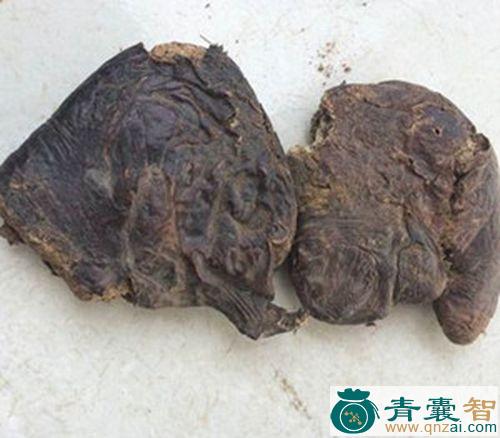 中药材巨肚子图片