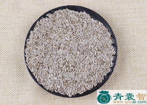 巨胜子的性状性味归经以及功效用法-青囊智