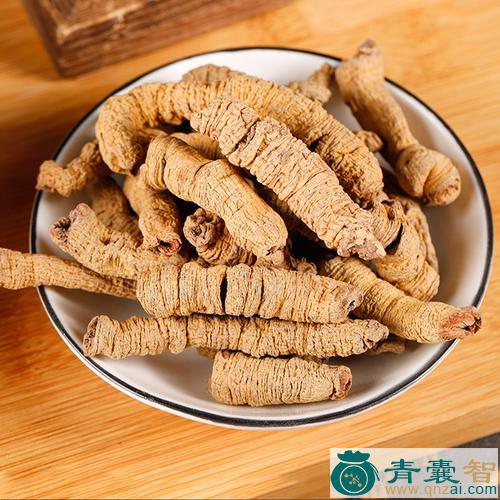 巴吉天的性状性味归经以及功效用法和注意事项-青囊智