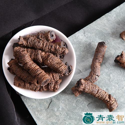 中药材巴尔巴大图片