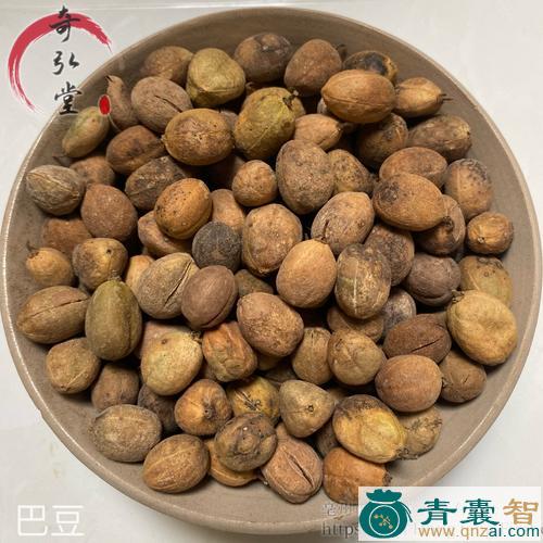 中药材巴豆壳图片
